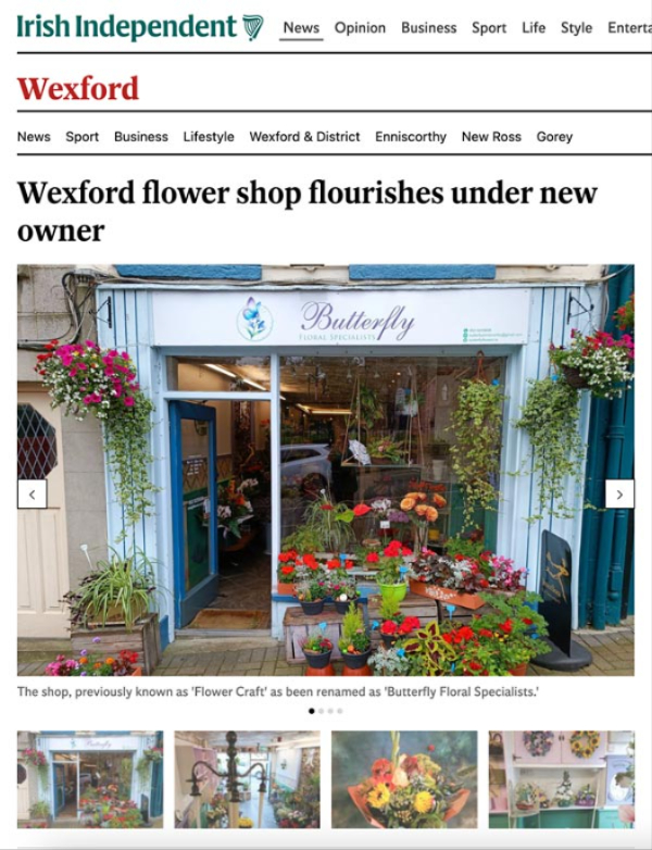 Butterfly Article Image