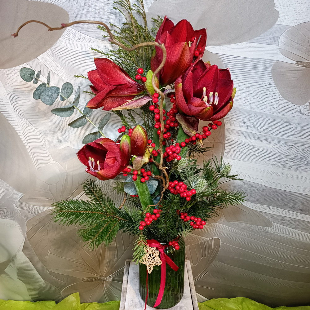 Your Majesty Amaryllis